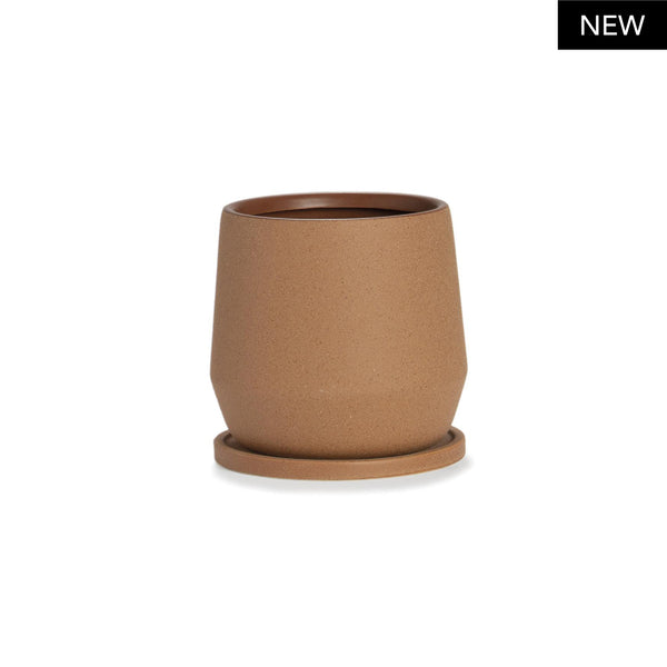 Vaso AUGUSTE Ø18