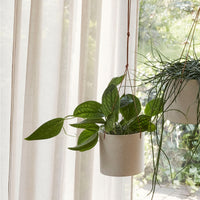 Vasi sospesi AERO (set di 2)