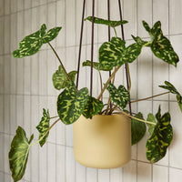 Vasi sospesi BLOOM (set di 3)