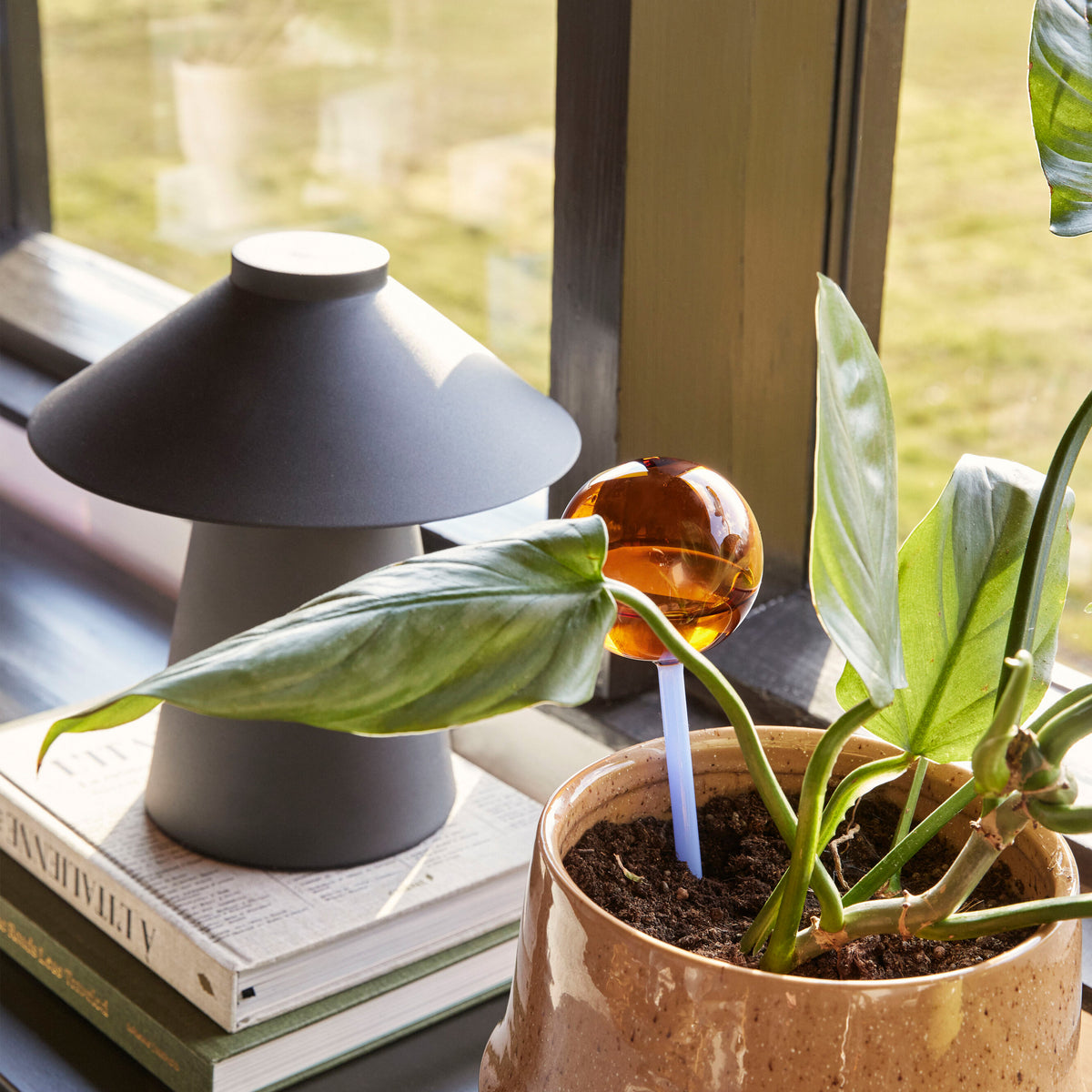 Lampada da tavolo CHIPPER